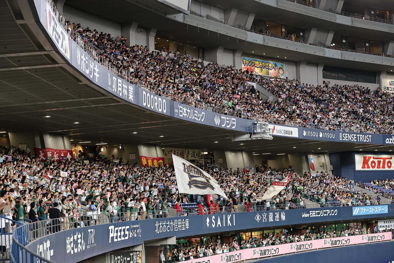 応援するオリックスファン（2023年8月27日撮影）