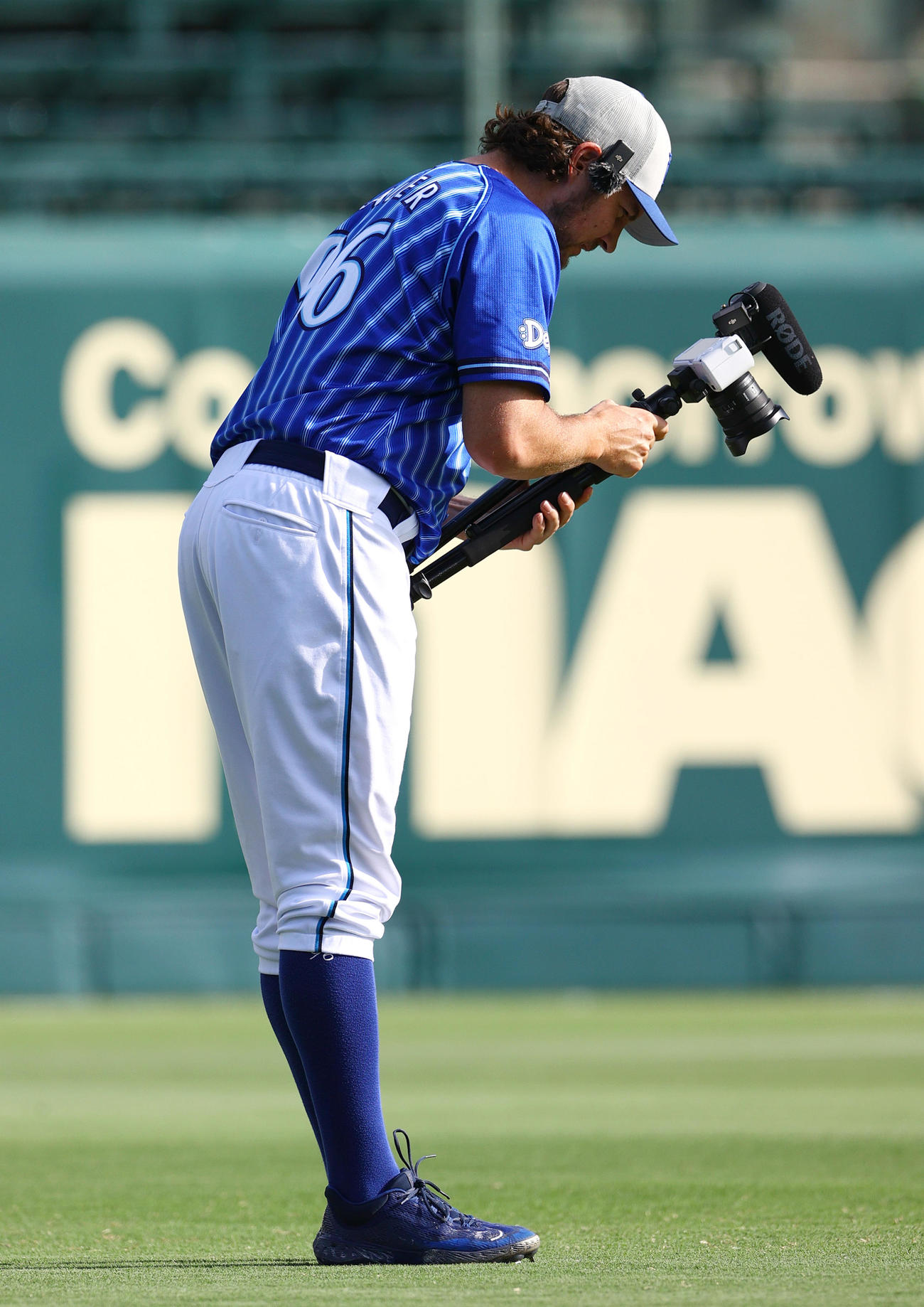 甲子園球場の外野の芝を撮影するDeNAバウアー（撮影・上山淳一）