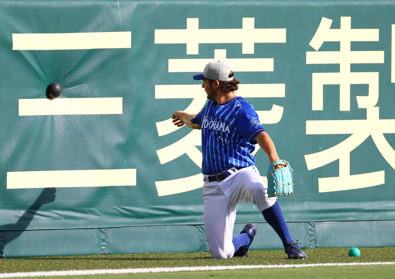 甲子園球場でトレーニングするDeNAバウアー（撮影・上山淳一）