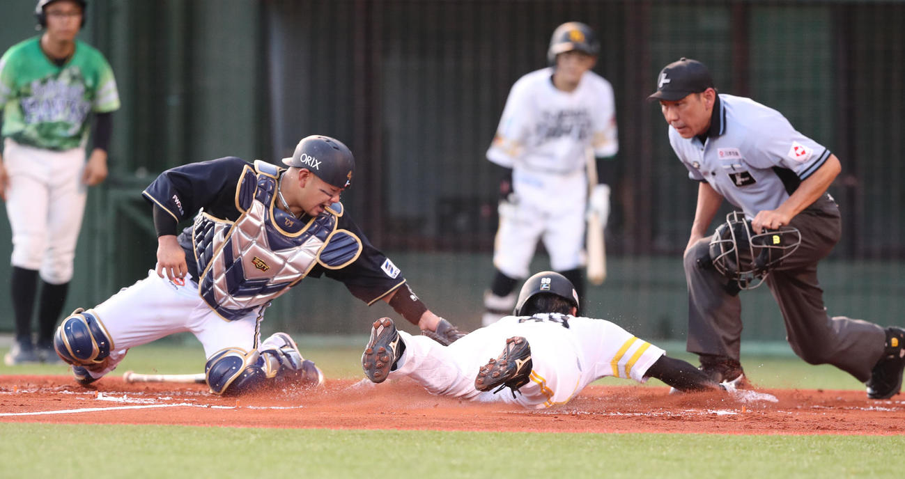 ソフトバンク対オリックス　1回裏ソフトバンク1死満塁、中村晃の二犠飛で生還する野村勇（撮影・梅根麻紀）