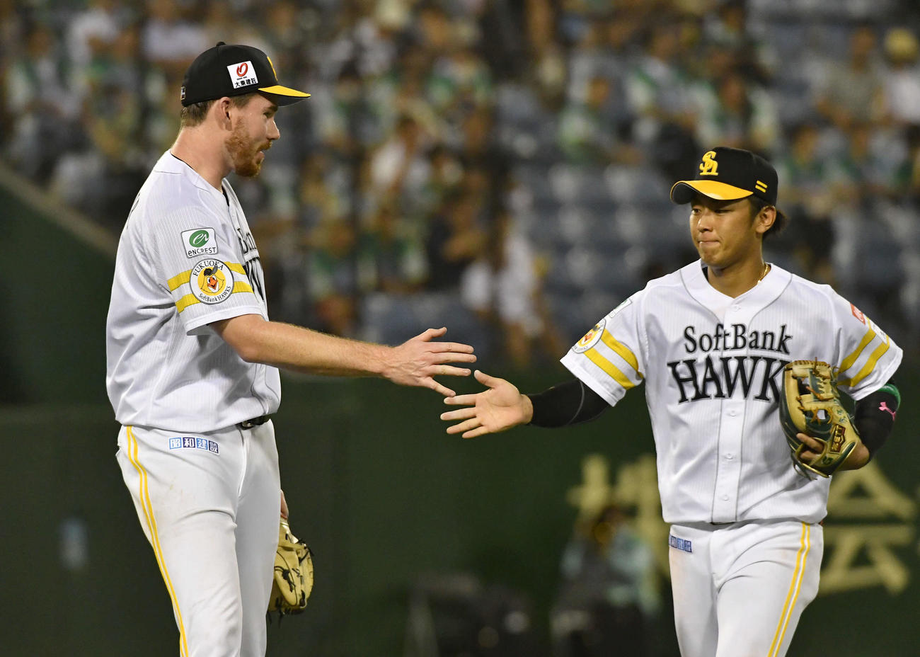 ソフトバンク対オリックス　7回表オリックス2死一塁、中川圭の遊ゴロを好守した今宮（右）とタッチを交わすスチュワート（撮影・岩下翔太）