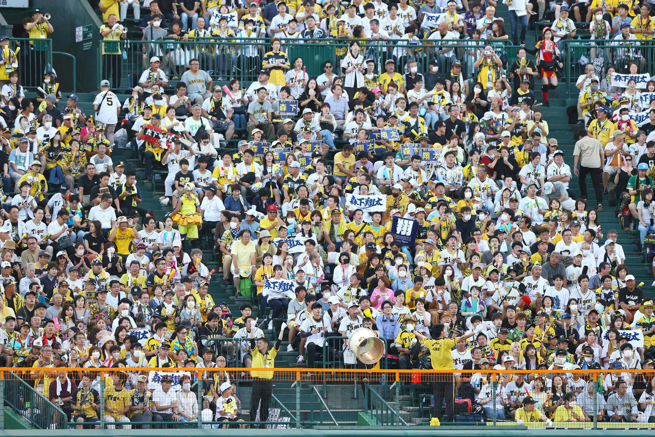 阪神対DeNA　阪神森下の応援歌で声援を送る阪神ファン（撮影・上山淳一）