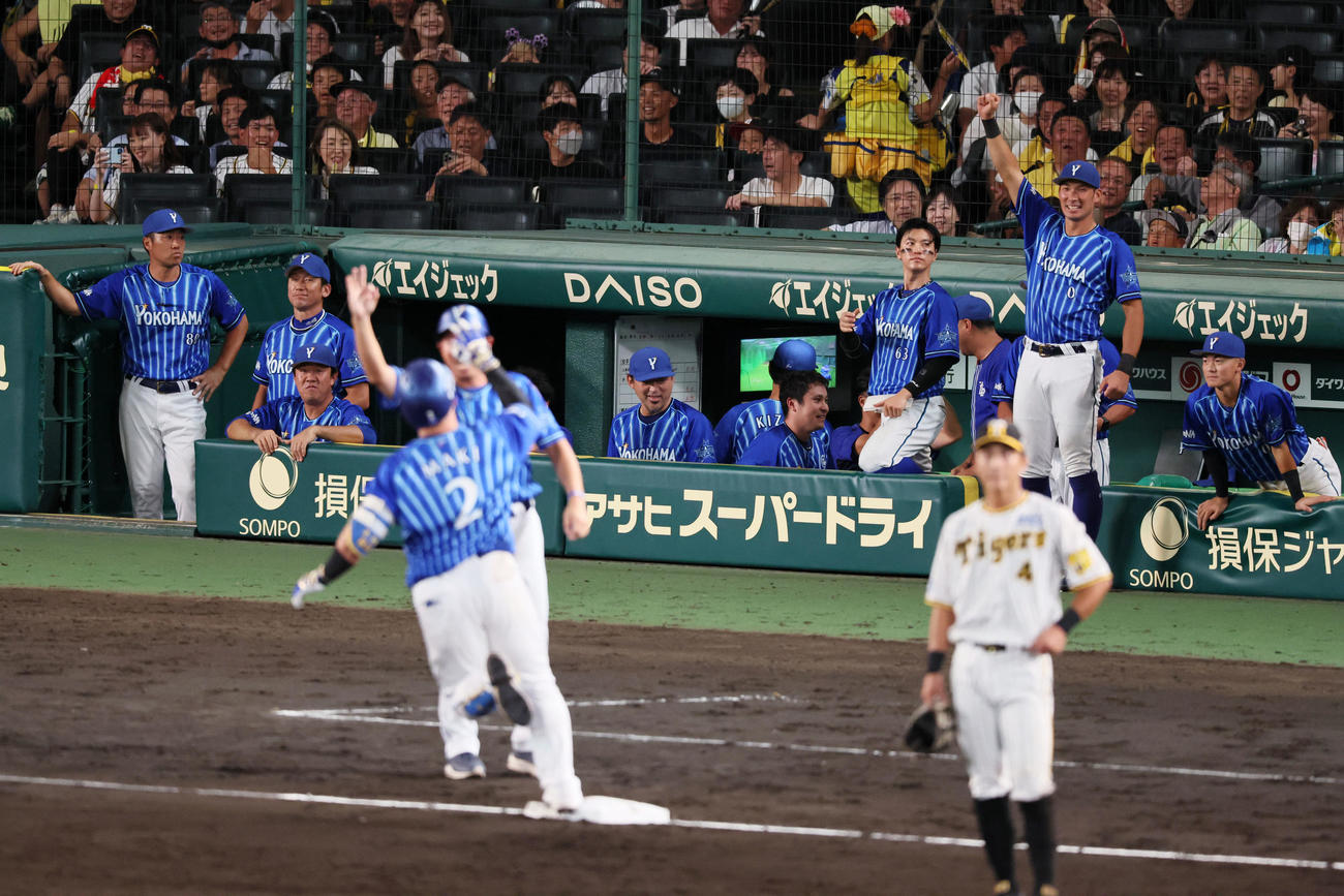 阪神対DeNA 9回表DeNA無死、牧の左越えソロ本塁打に笑顔を見せるベンチのナインたち（撮影・加藤哉）