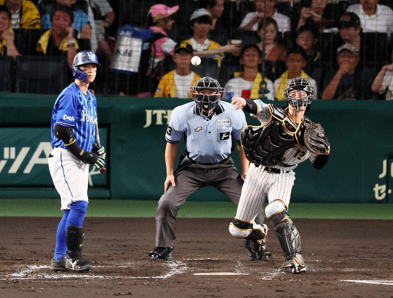 阪神対DeNA 3回表DeNA2死一塁、一塁走者桑原の二塁盗塁を刺す坂本。打者は関根（撮影・加藤哉）
