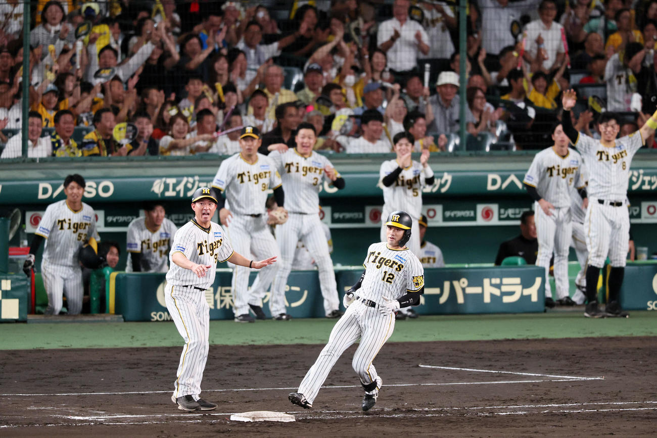 阪神対DeNA 8回裏阪神2死二塁、坂本は右適時打を放つ（撮影・加藤哉）