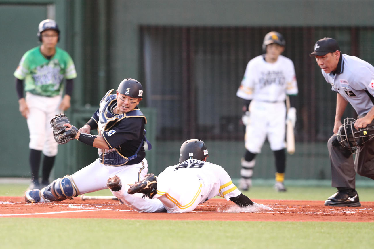 ソフトバンク対オリックス　1回裏ソフトバンク1死満塁、中村晃の二犠飛で生還する野村勇（撮影・梅根麻紀）