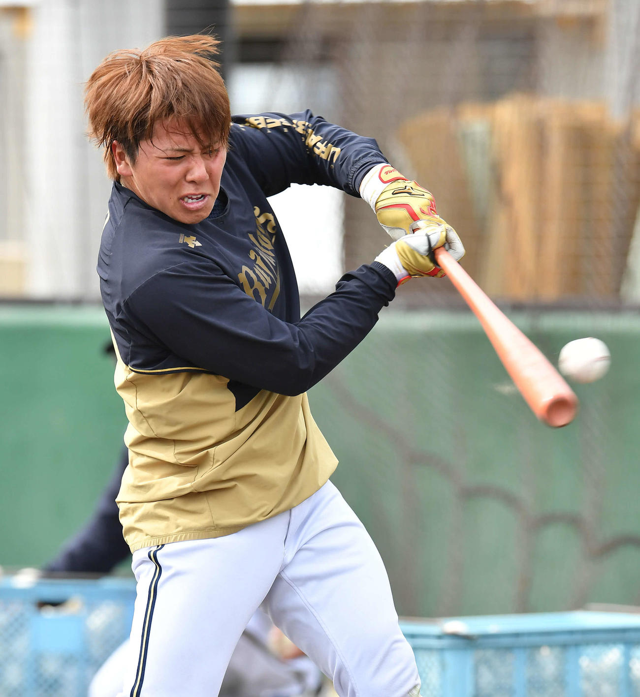 オリックス池田陵真（2023年2月20日撮影）