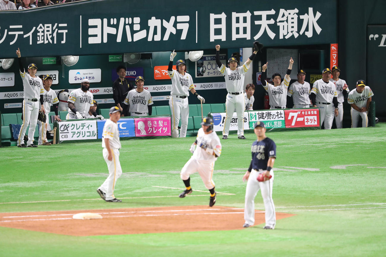 ソフトバンク対オリックス　5回裏ソフトバンク無死一塁、嶺井は左中間に2点本塁打を放つ、大喜びのナイン（撮影・梅根麻紀）