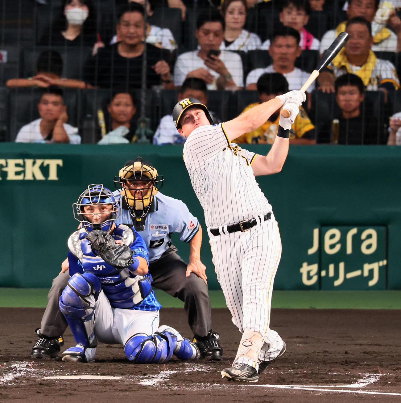 阪神対DeNA 2回裏阪神2死、ノイジーは左越えソロ本塁打を放つ（撮影・加藤哉）