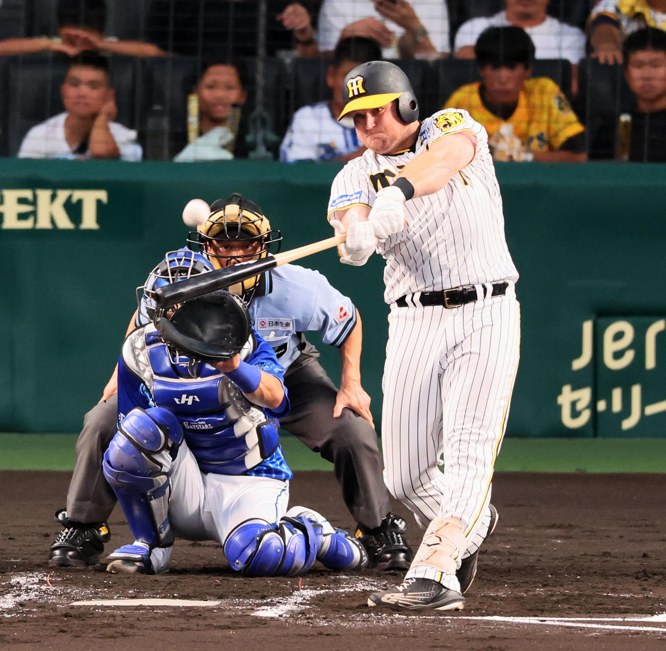 阪神対DeNA 2回裏阪神2死、ノイジーは左越えソロ本塁打を放つ（撮影・加藤哉）