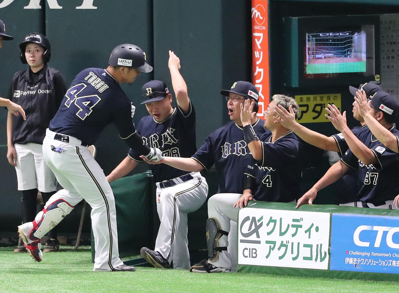 ソフトバンク対オリックス　3回表オリックス1死、頓宮は左中間に本塁打を放つ、出迎える中嶋監督（撮影・梅根麻紀）