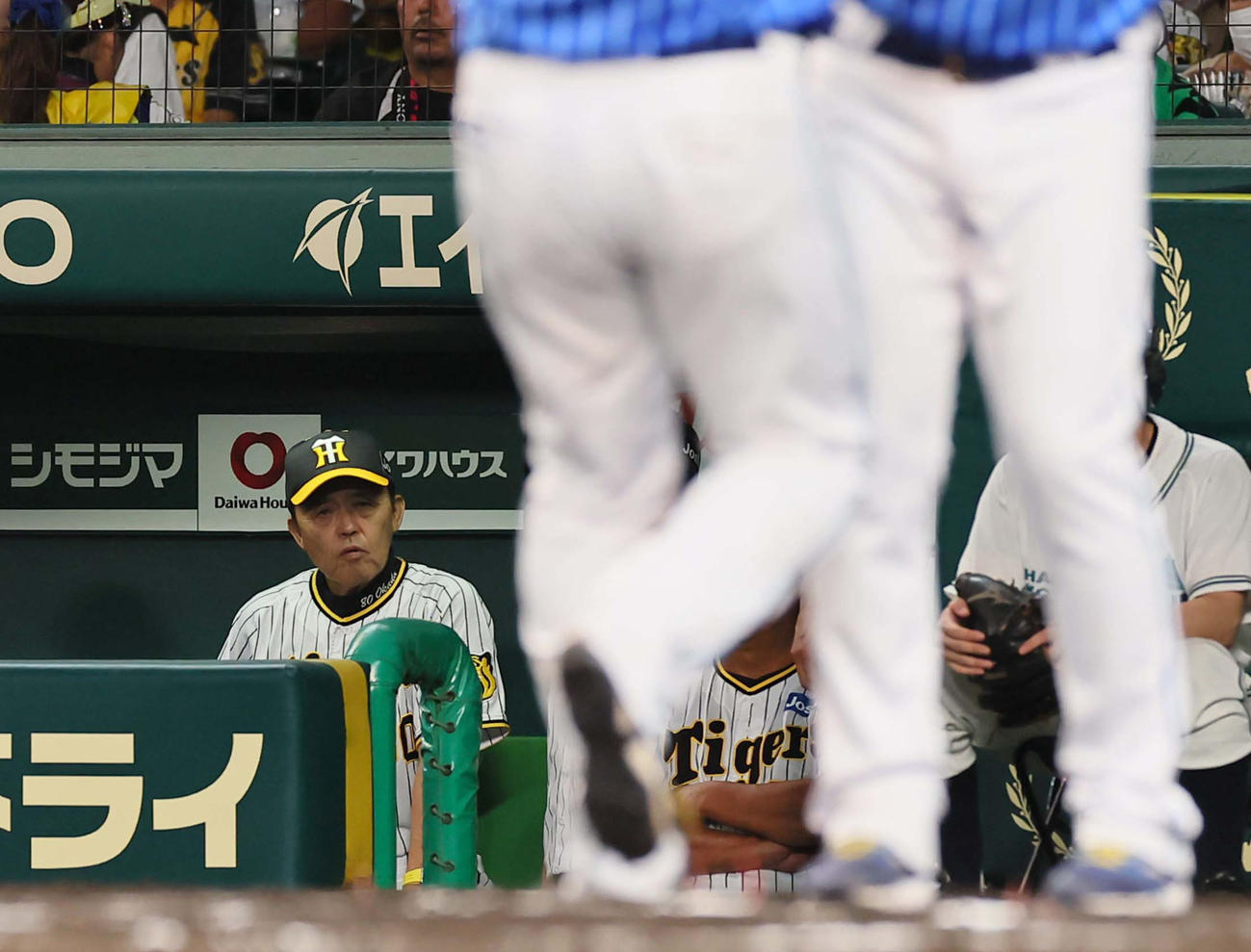 6回表DeNA2死一、三塁、岡田監督は勝ち越し3点本塁打を放った牧を見つめる（撮影・上田博志）