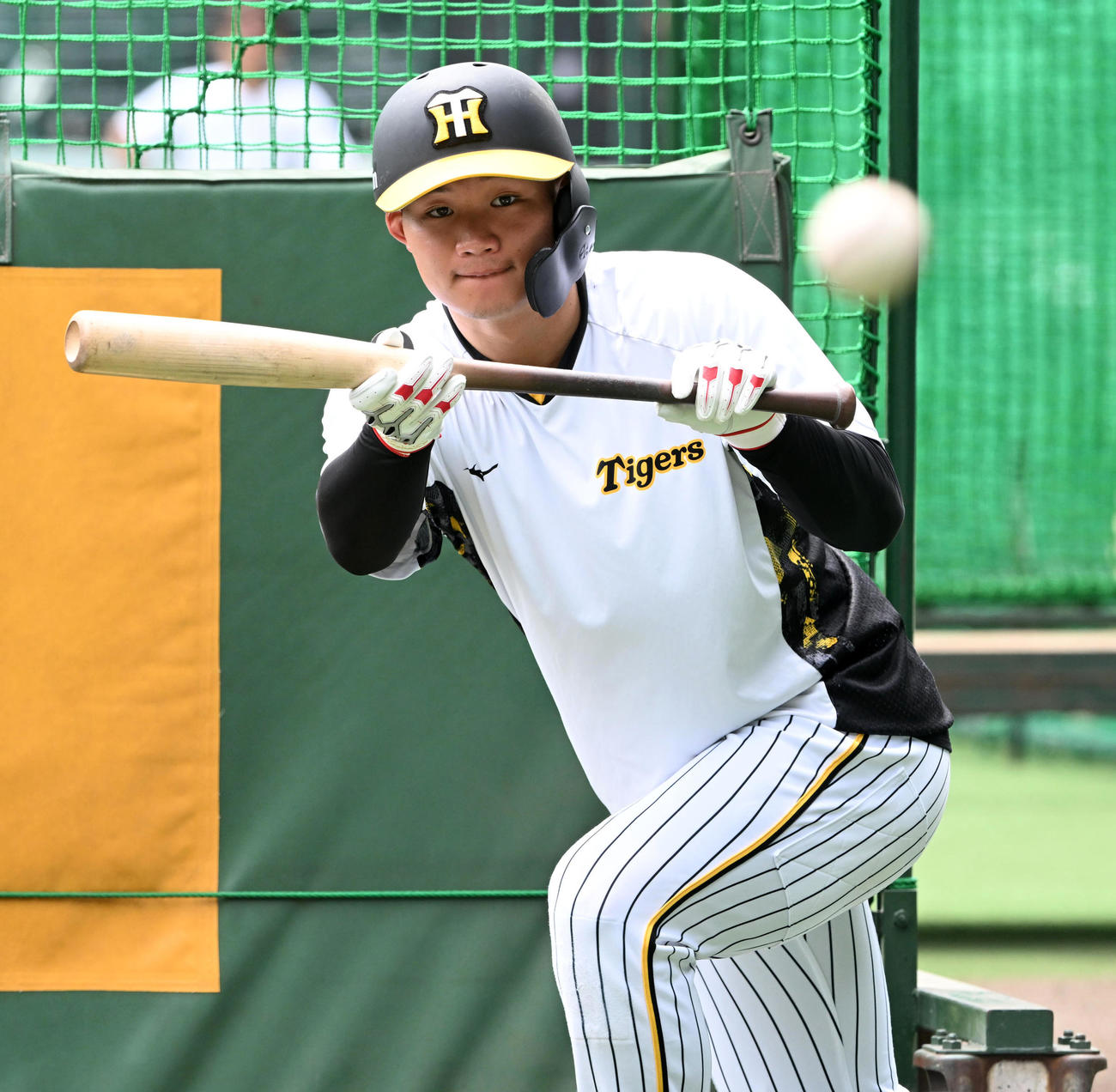 バント練習を行う森下（撮影・前岡正明）
