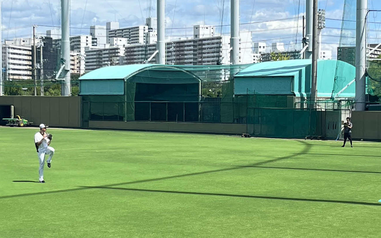 鳴尾浜球場でキャッチボールを行う阪神湯浅（撮影・中野椋）