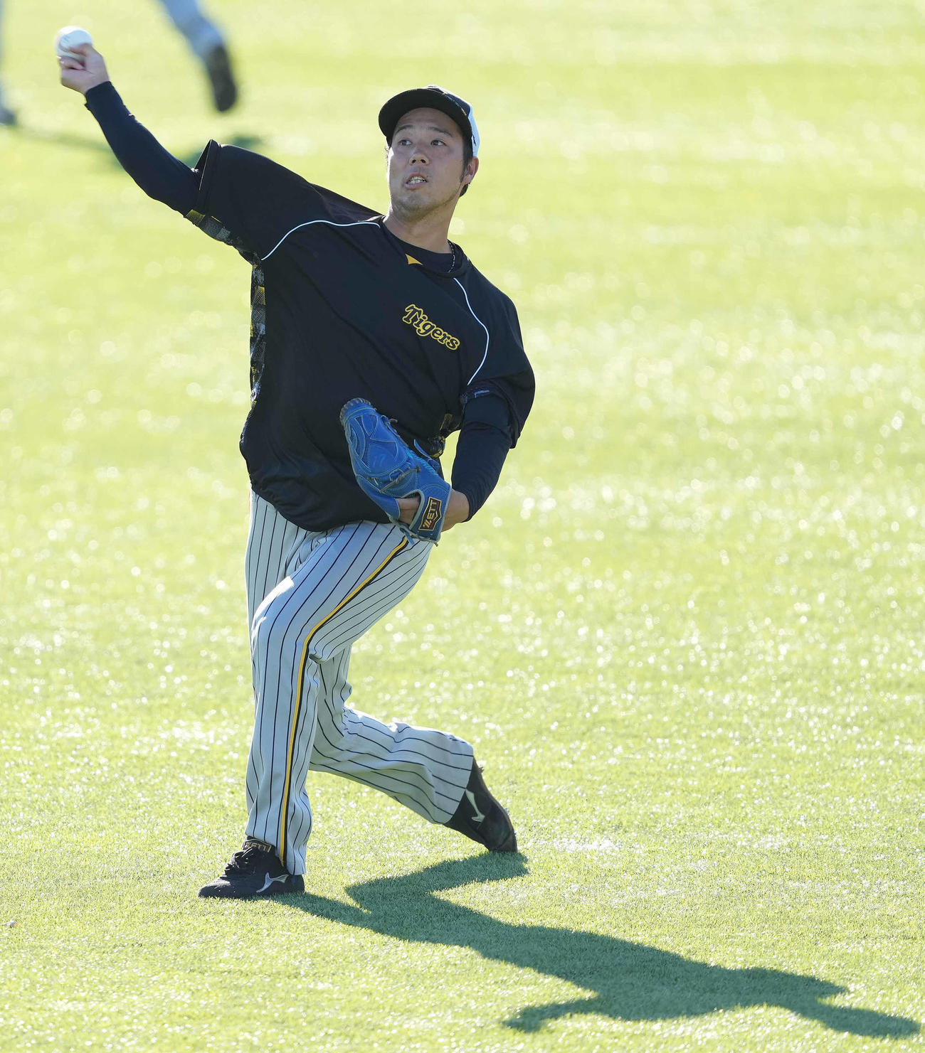 ヤクルト対阪神　試合前練習でキャッチボールする阪神青柳（撮影・鈴木みどり）