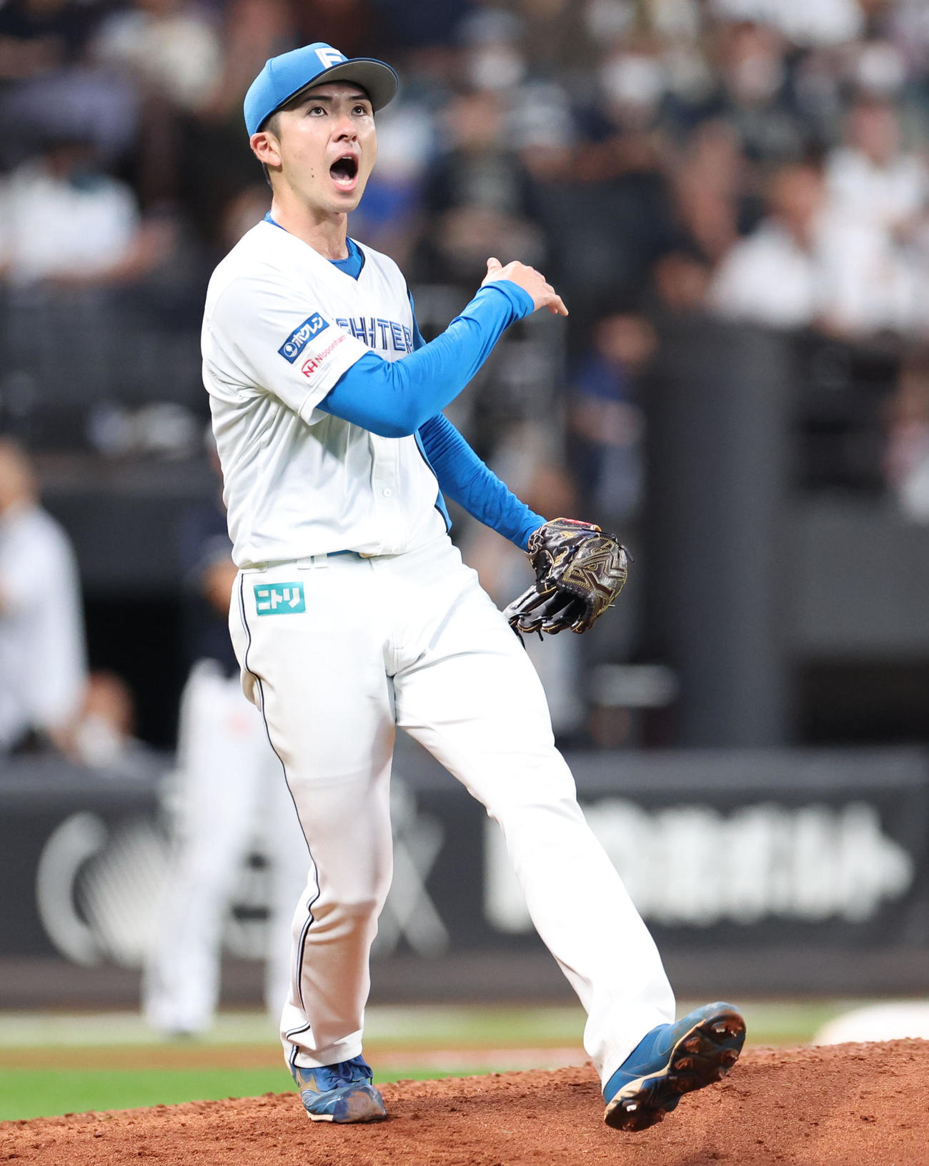 日本ハム対オリックス　7回表オリックス2死、若月を三振にとりグラブをたたく上沢（撮影・佐藤翔太）