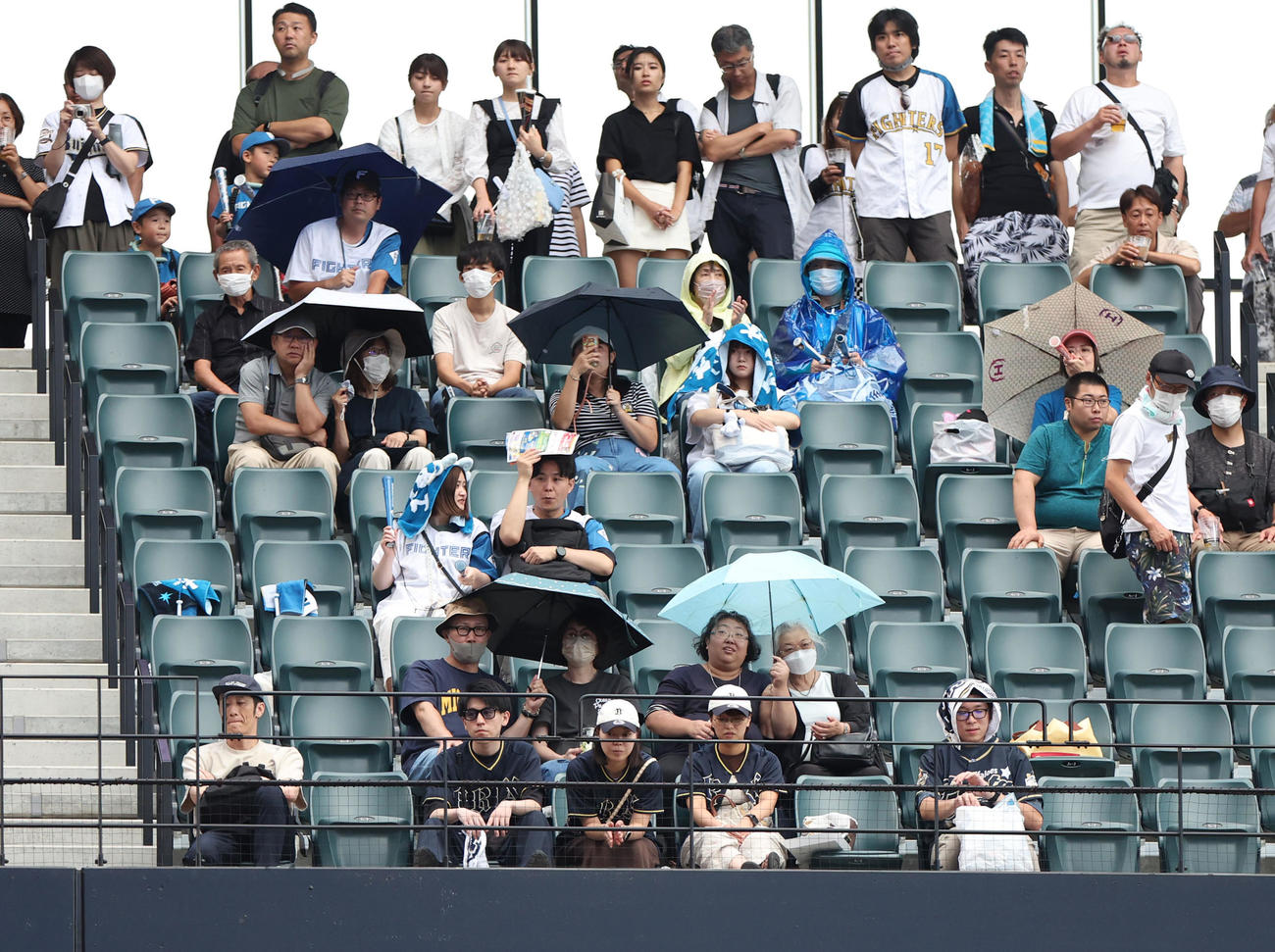 日本ハム対オリックス　傘をさしながら観戦するファン（撮影・佐藤翔太）