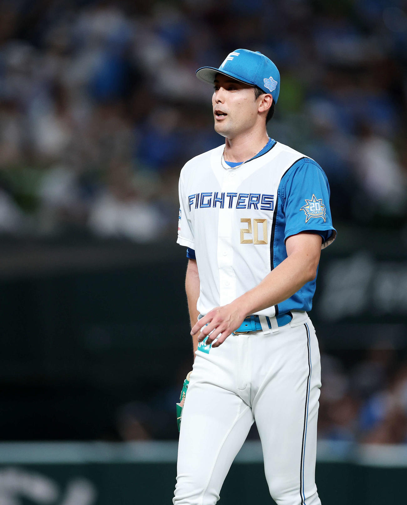 日本ハム上原健太