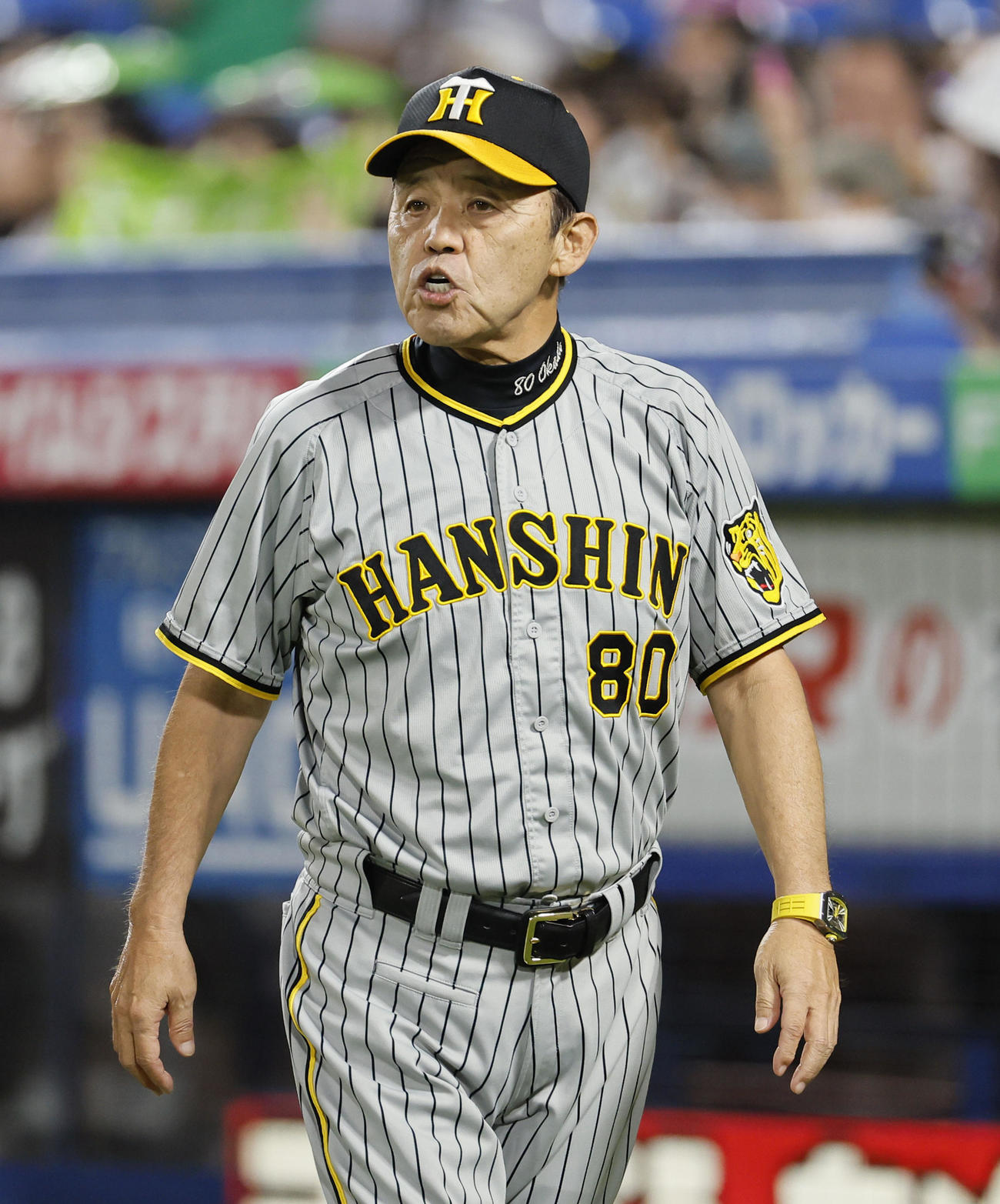 阪神岡田監督