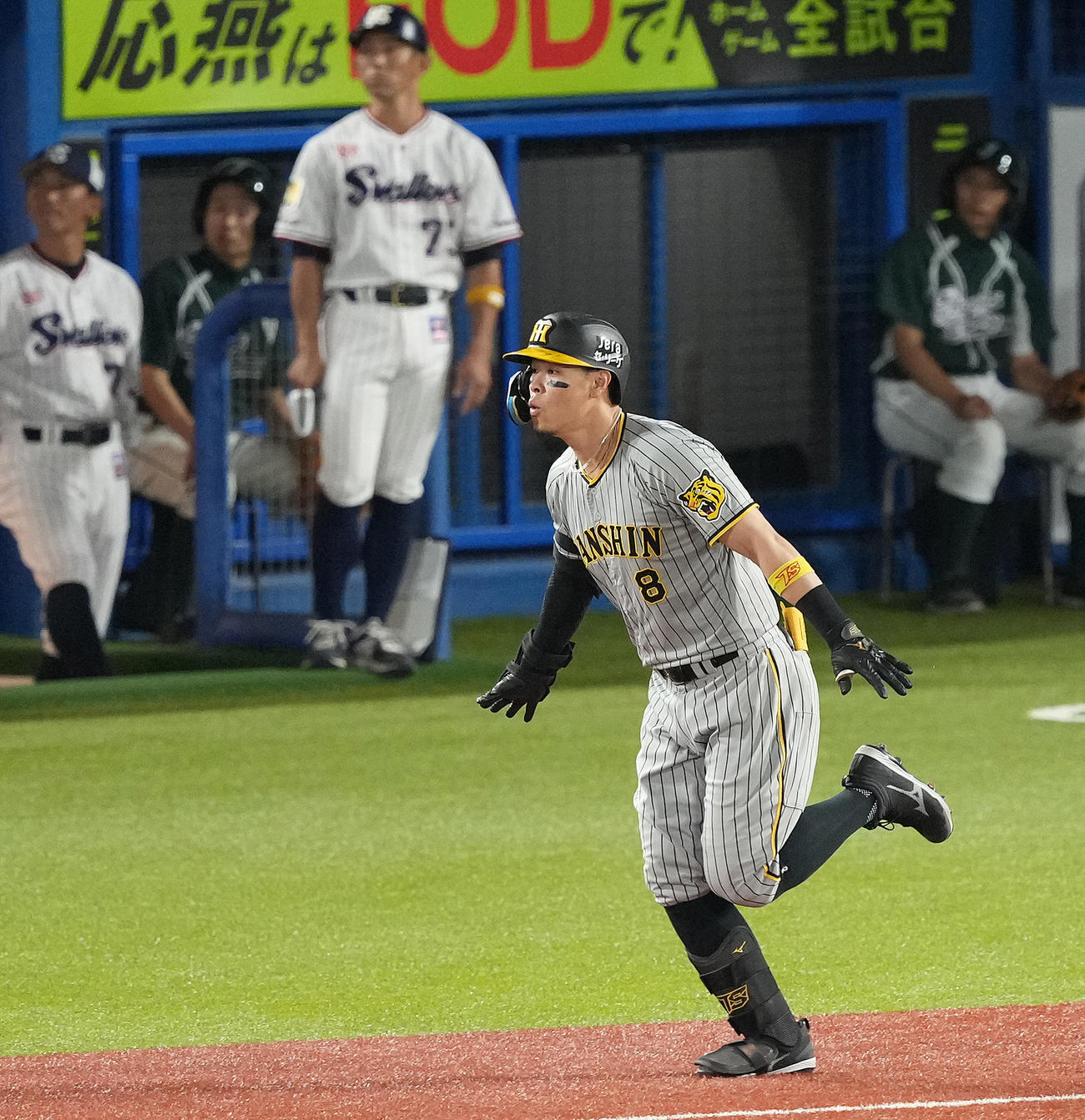 ヤクルト対阪神　3回表阪神2死一、三塁、右越え3点本塁打を放ち、一塁へ向かう佐藤輝（撮影・鈴木みどり）