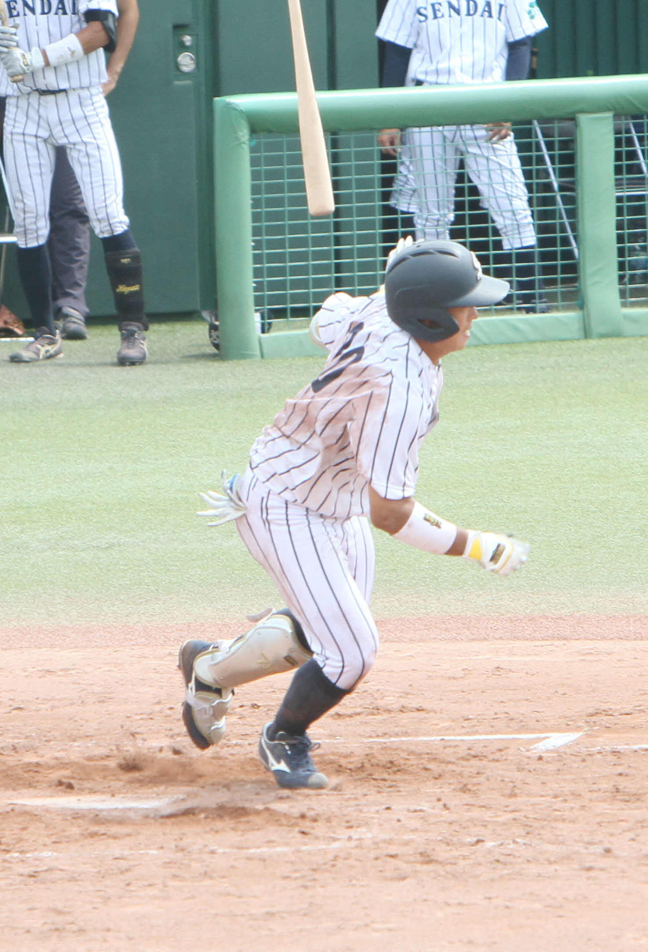 仙台大対東北大　1回1死一塁で2ランを放つ仙台大・辻本（撮影・木村有優）
