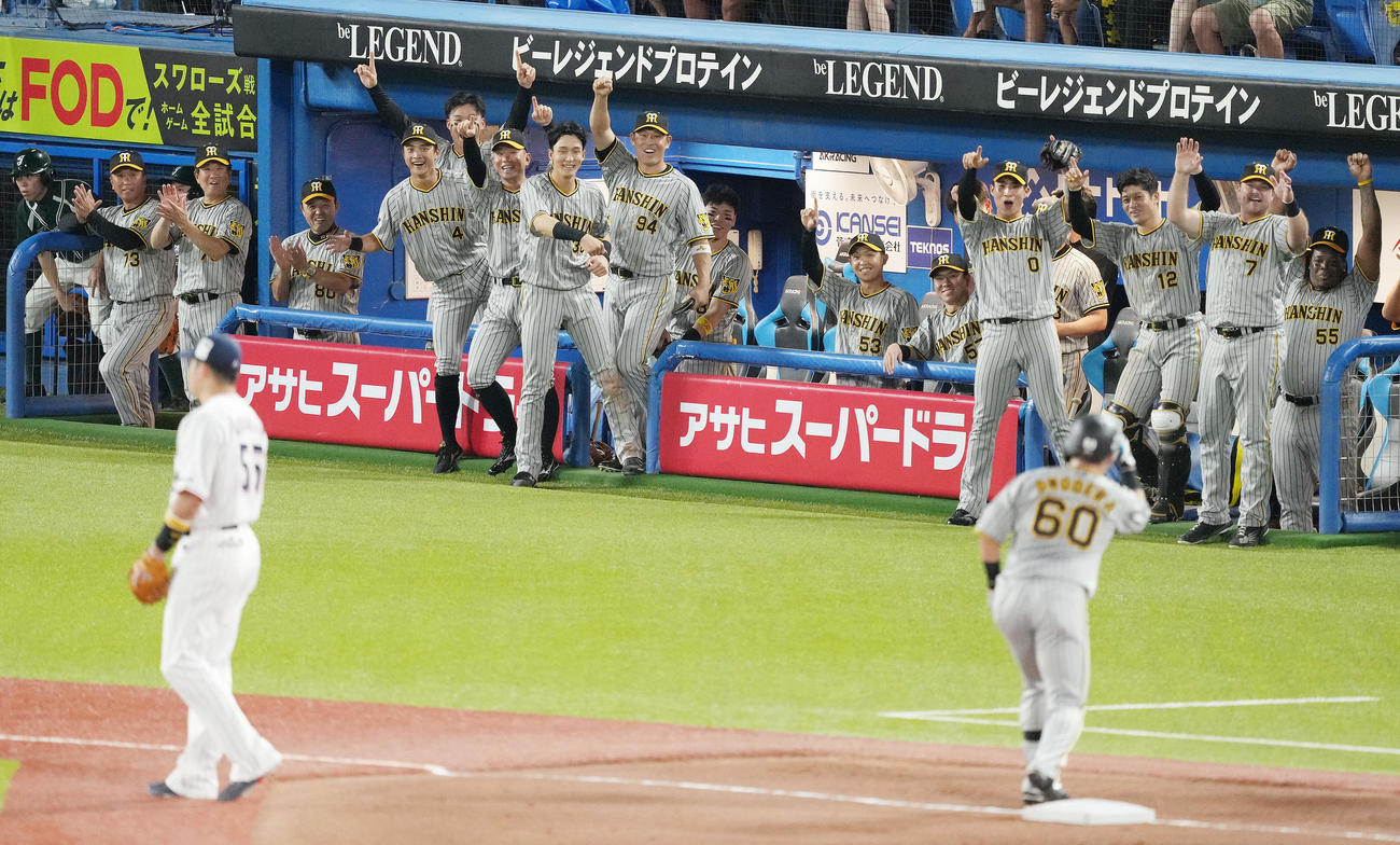 ヤクルト対阪神　3回表阪神2死一、二塁、小野寺（手前右）の2点適時三塁打に盛り上がるチームメートたち（撮影・鈴木みどり）