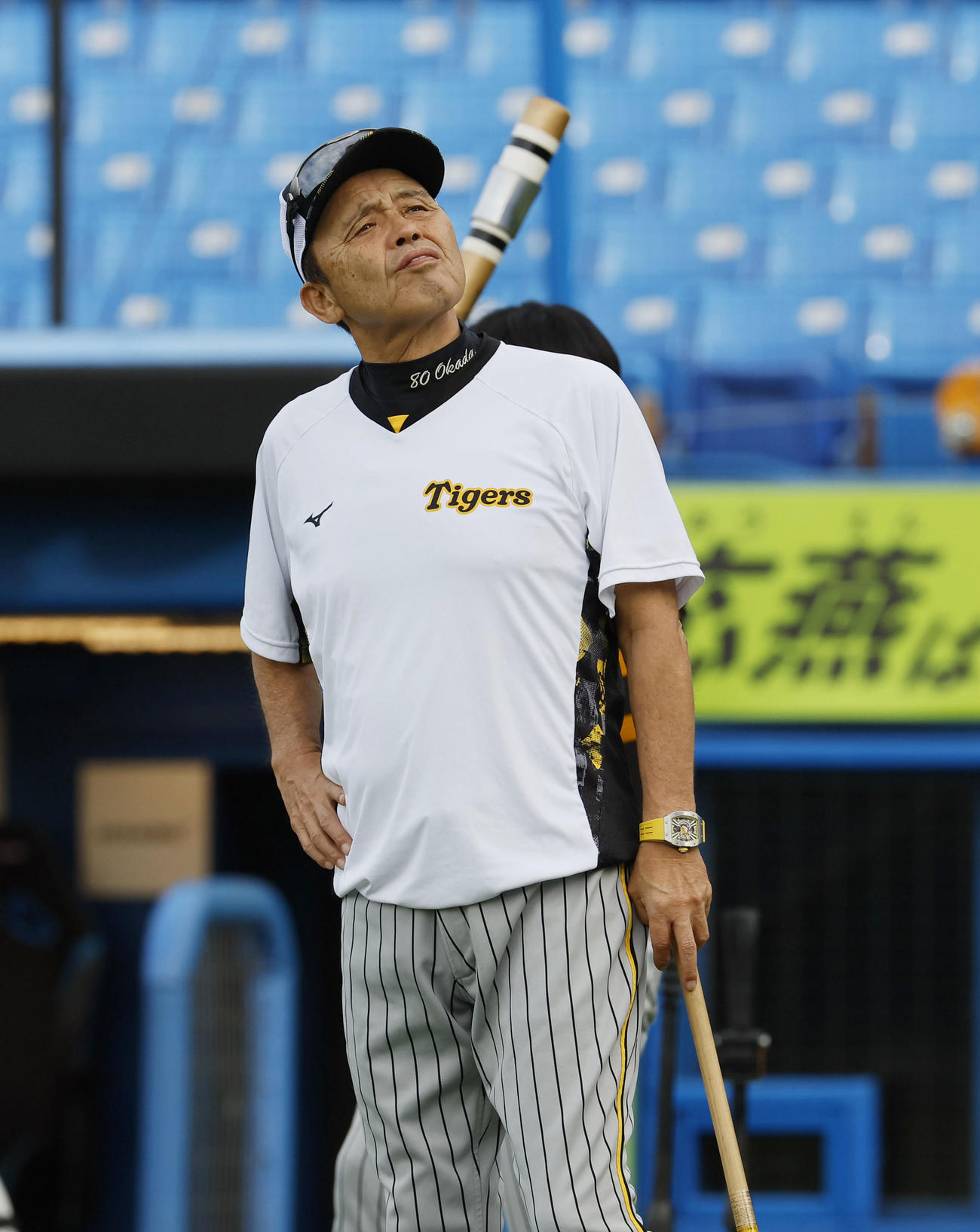 ヤクルト対阪神　上空を飛行する飛行機を見つめる阪神岡田監督（撮影・藤尾明華）