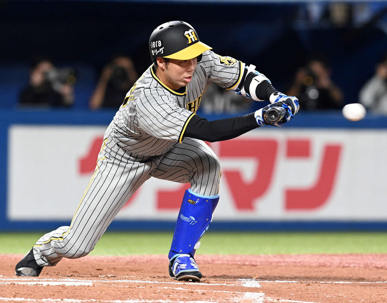 ヤクルト対阪神　3回表阪神1死一塁、送りバントを決める青柳（撮影・たえ見朱実）