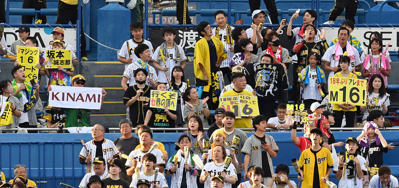 ヤクルト対阪神　試合前、広島の負けを受け「M16」のボードを掲げる阪神ファン（撮影・たえ見朱実）
