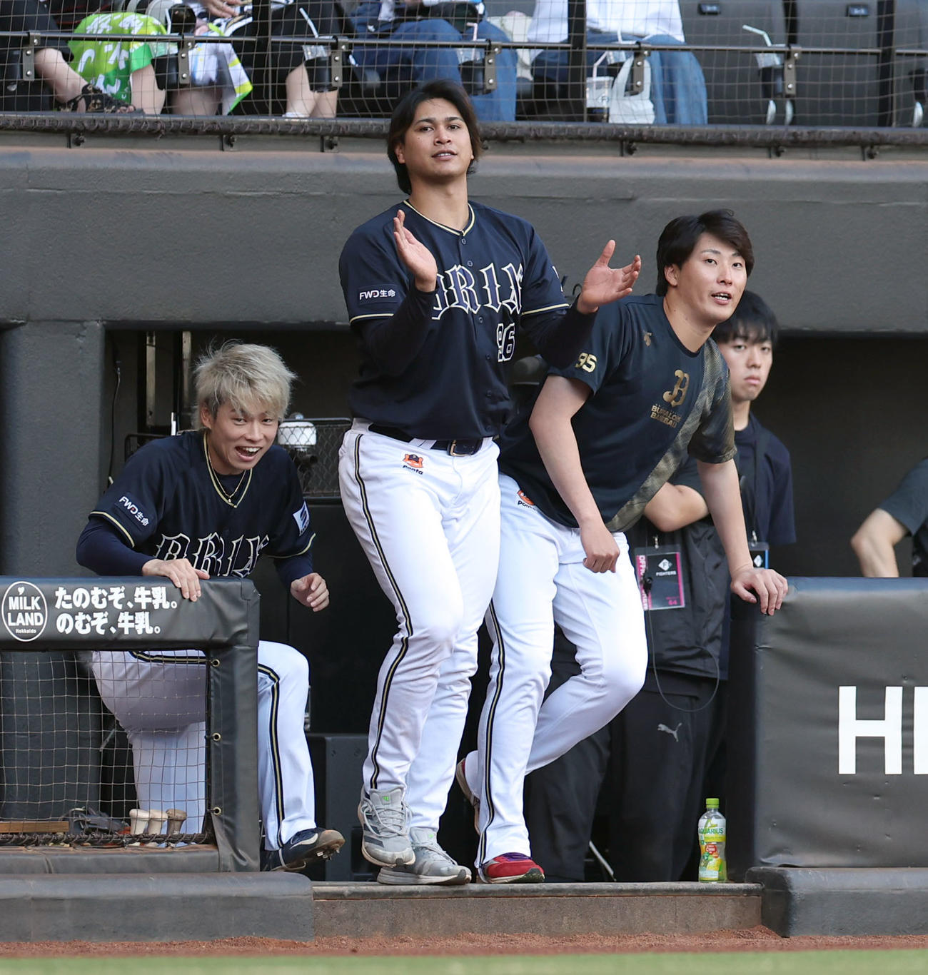 日本ハム対オリックス　日本ハムに勝利しベンチから飛び出す左からオリックス山岡、宇田川、東（撮影・佐藤翔太）