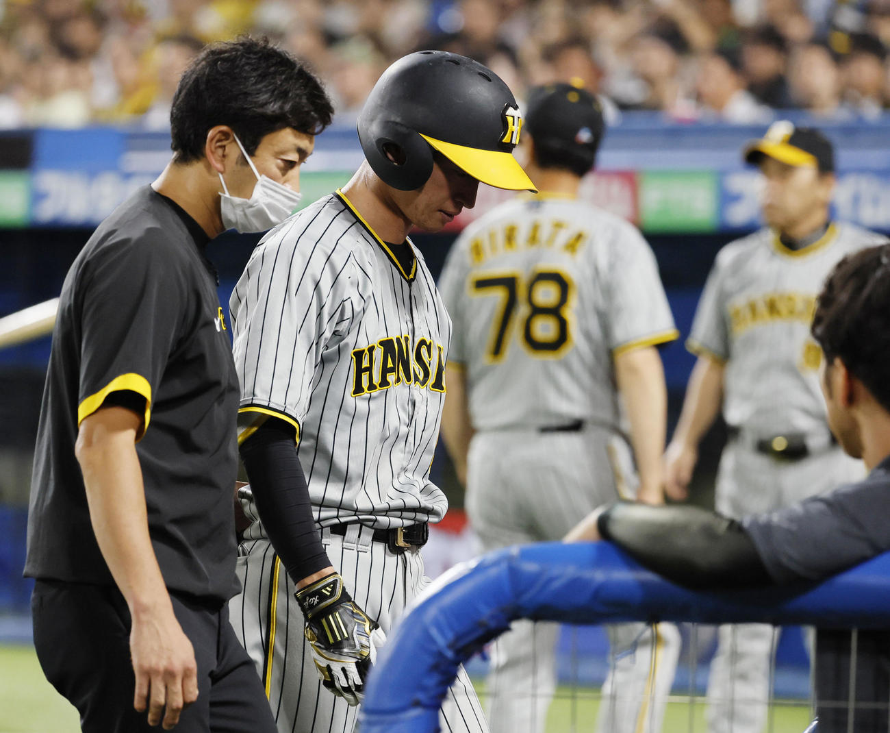 ヤクルト対阪神　9回表阪神無死、死球を受けそのまま交代する近本（左から2人目）（撮影・藤尾明華）