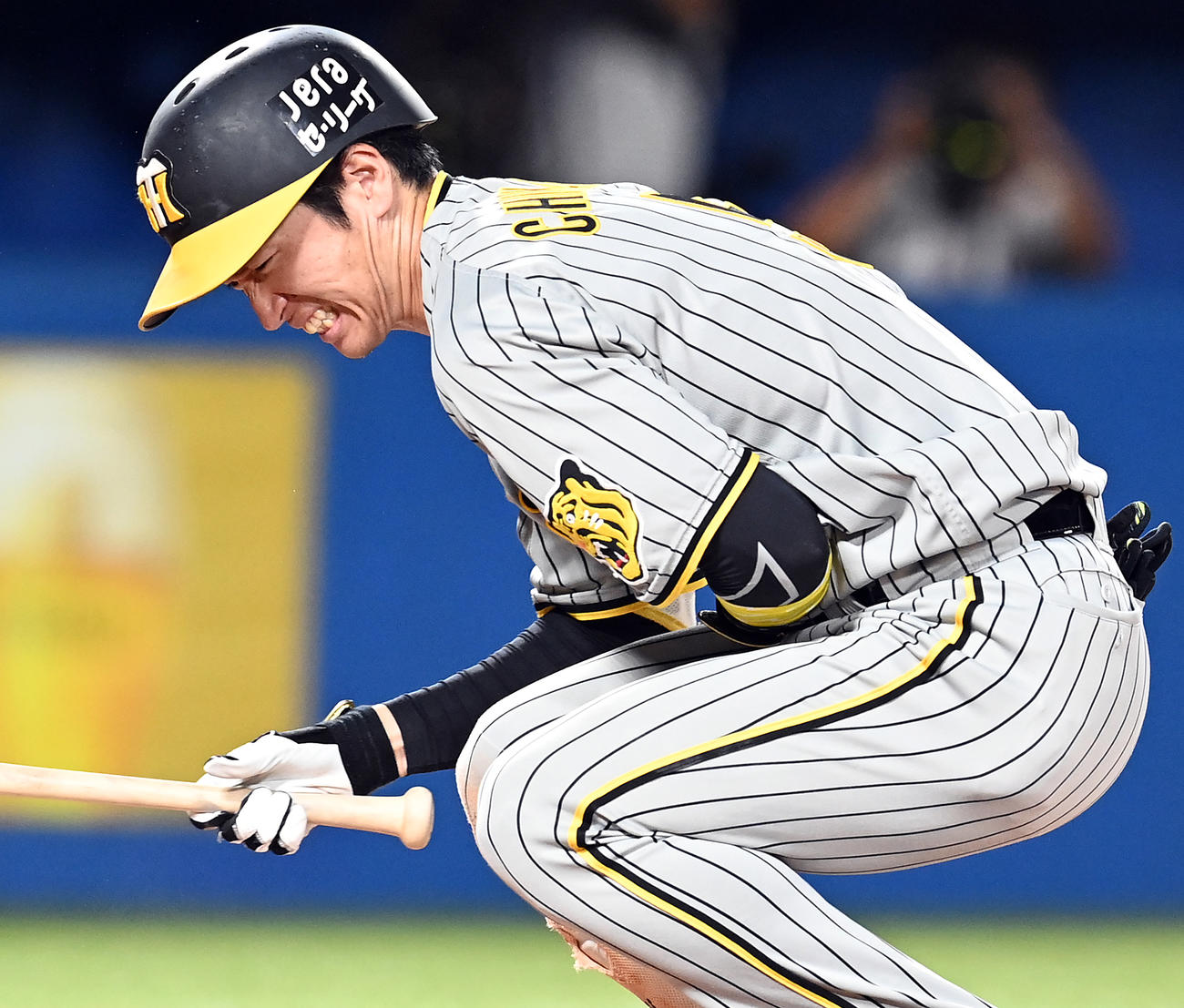 ヤクルト対阪神　9回表阪神無死、死球を受け痛がる近本（撮影・たえ見朱実）