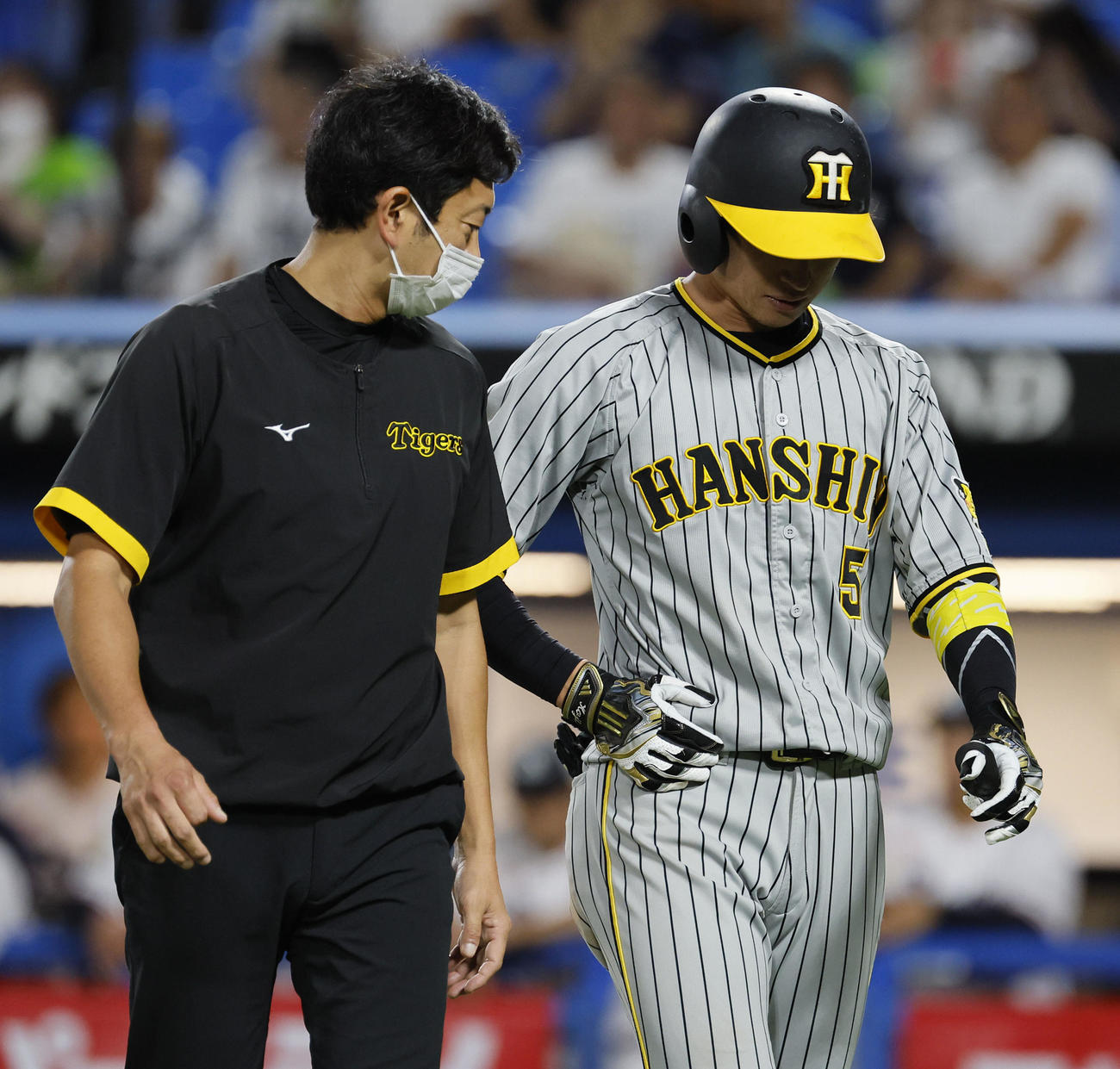 ヤクルト対阪神　9回表阪神無死、死球を受けベンチへ下がりそのまま交代となった近本（右）（撮影・藤尾明華）