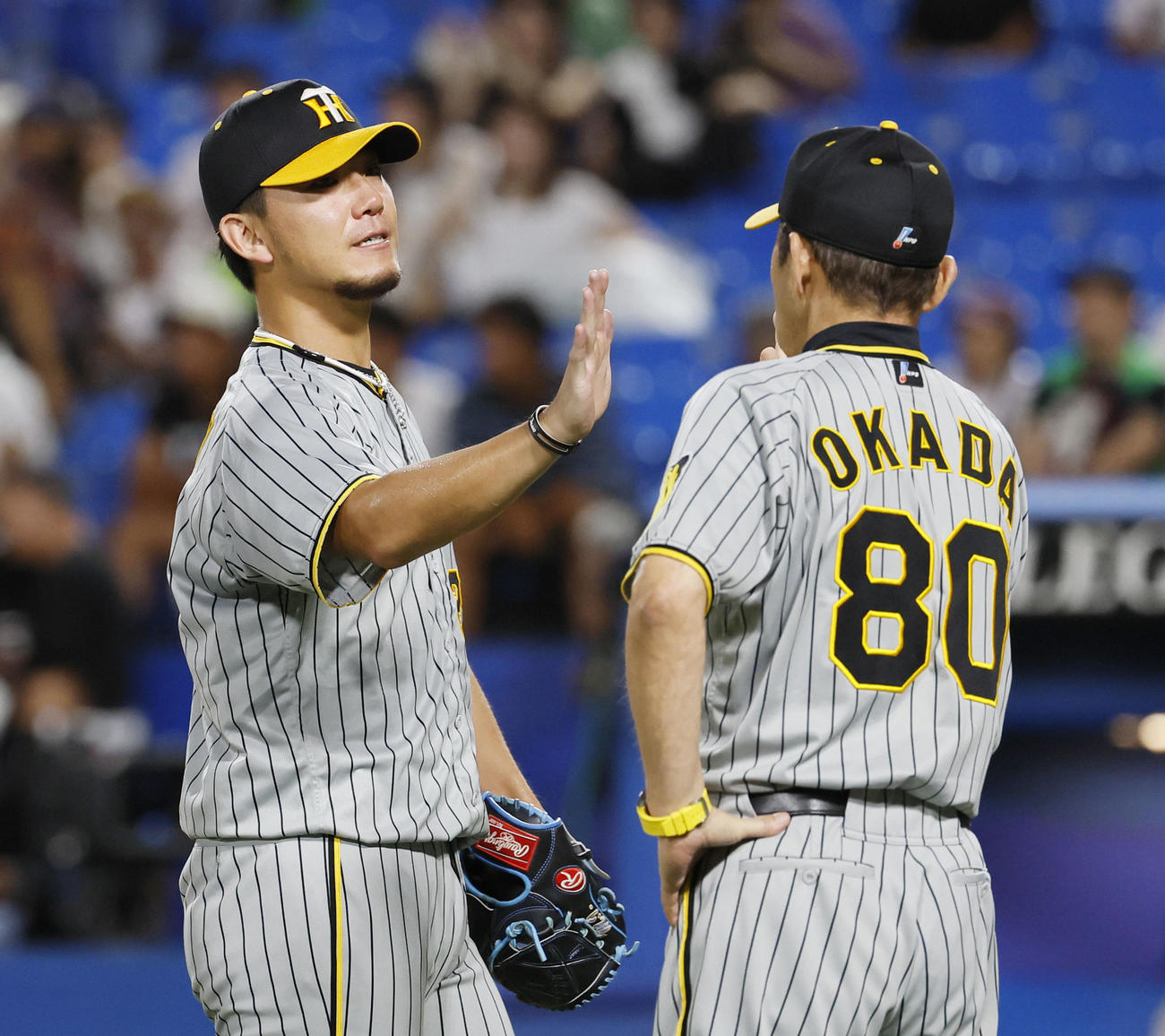 ヤクルト対阪神　完投勝利を飾り、岡田監督（右）とタッチを交わす阪神伊藤将（撮影・藤尾明華）