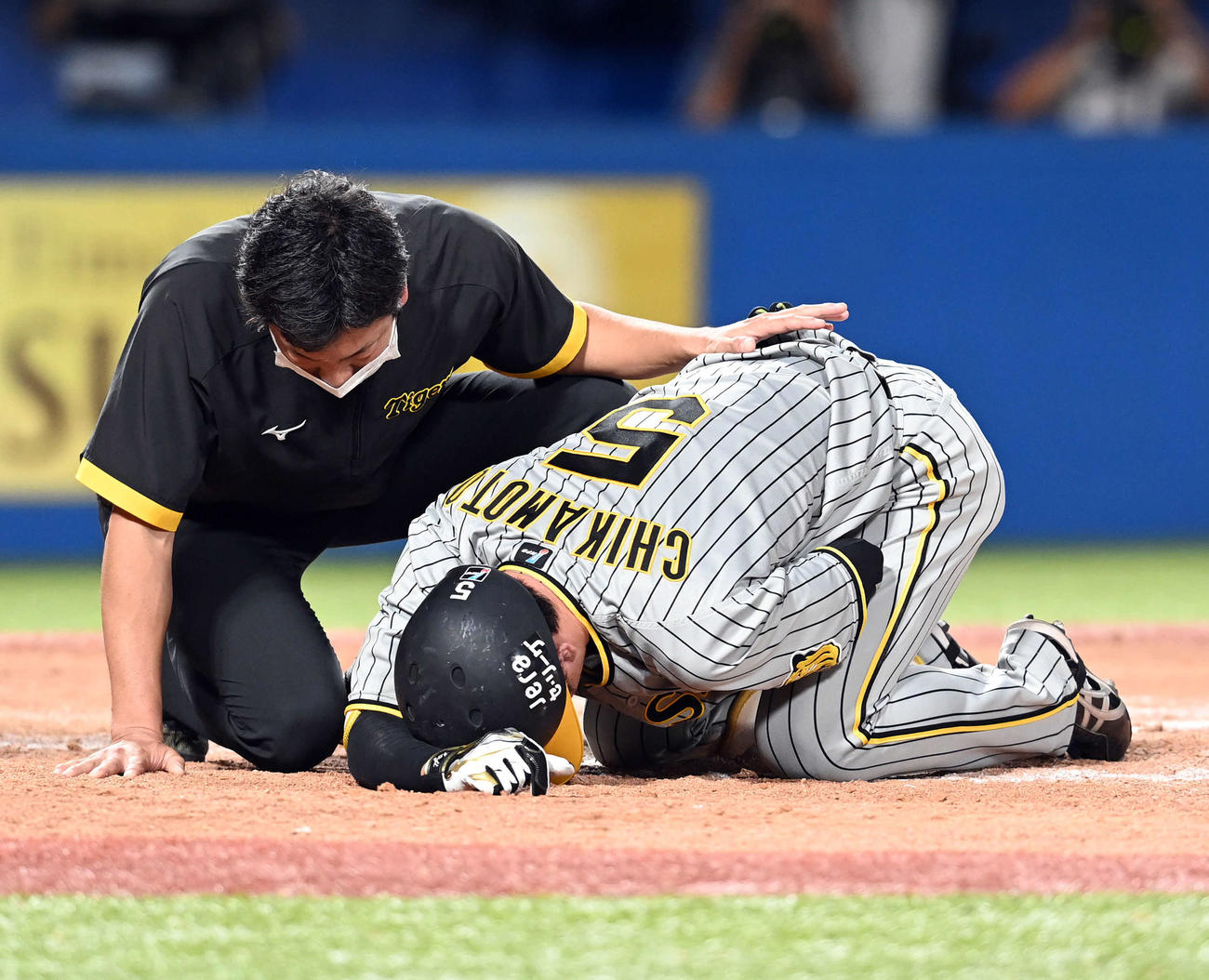 ヤクルト対阪神　9回表阪神無死、死球を受け痛がる近本（撮影・たえ見朱実）