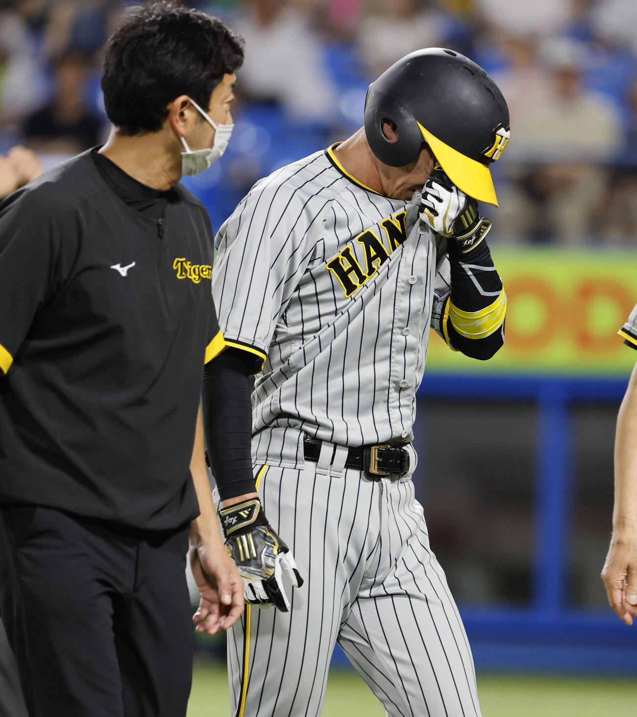 ヤクルト対阪神　9回表阪神無死、死球を受けそのまま交代する近本（右）（撮影・藤尾明華）