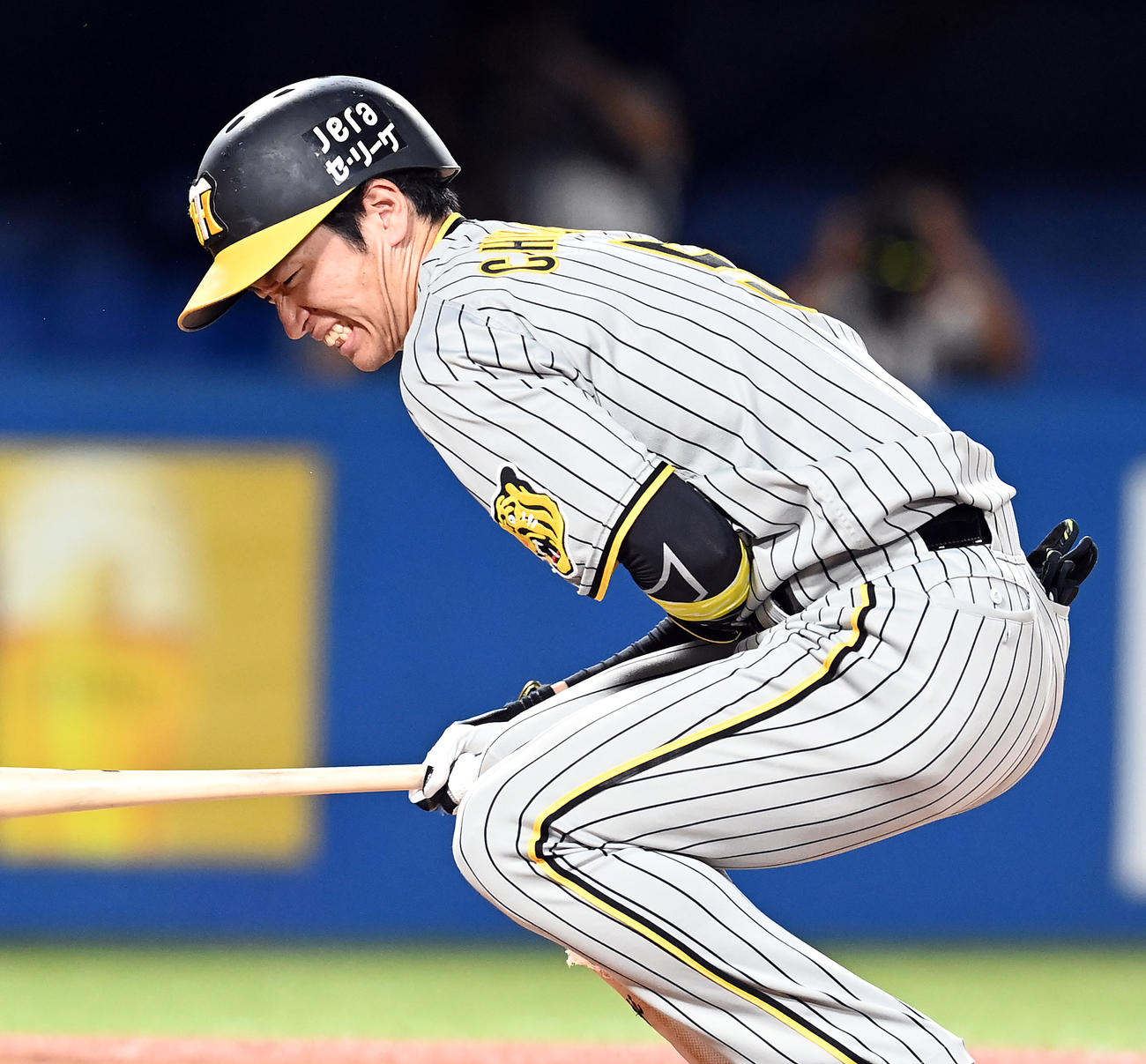 9月3日　ヤクルト対阪神　9回表阪神無死、死球を受け痛がる近本