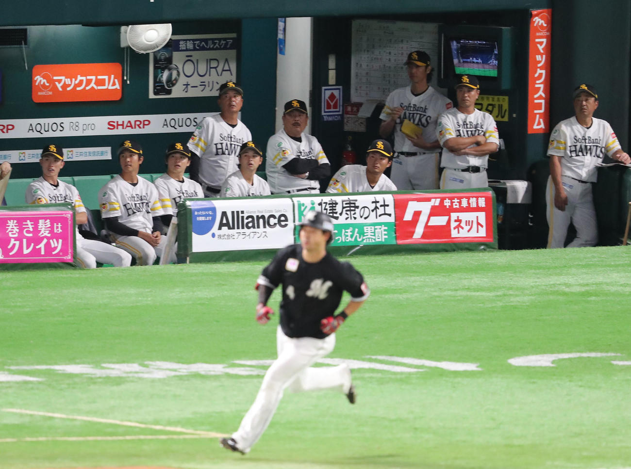 ソフトバンク対ロッテ　4回表ロッテ2死二塁、藤岡は右中間に2点本塁打を放つ、打球の行方を見るベンチのナイン（撮影・梅根麻紀）