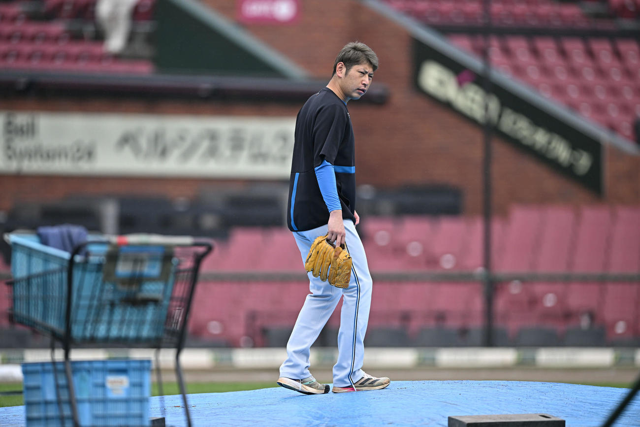 楽天対日本ハム　試合前練習でマウンドを確認する日本ハム加藤貴（撮影・滝沢徹郎）