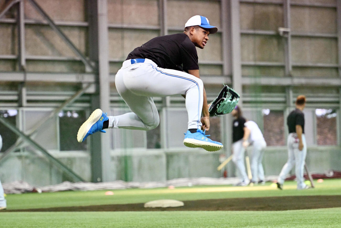 楽天対日本ハム　室内練習場でノックを受ける日本ハム万波（撮影・滝沢徹郎）