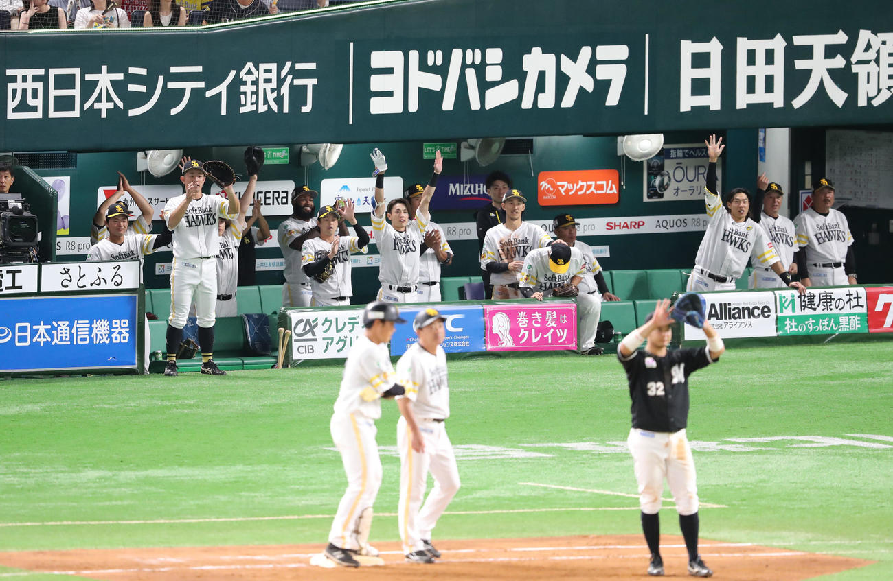 ソフトバンク対ロッテ　5回裏ソフトバンク無死、井上は中前安打を放つ、球がベンチのナインに戻る（撮影・梅根麻紀）