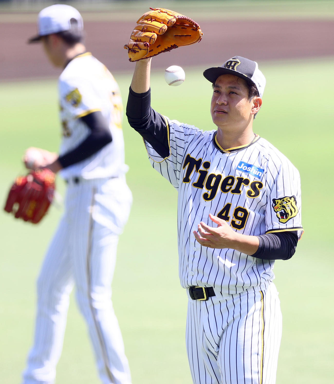 投手指名練習でキャッチボールする阪神大竹（撮影・上山淳一）