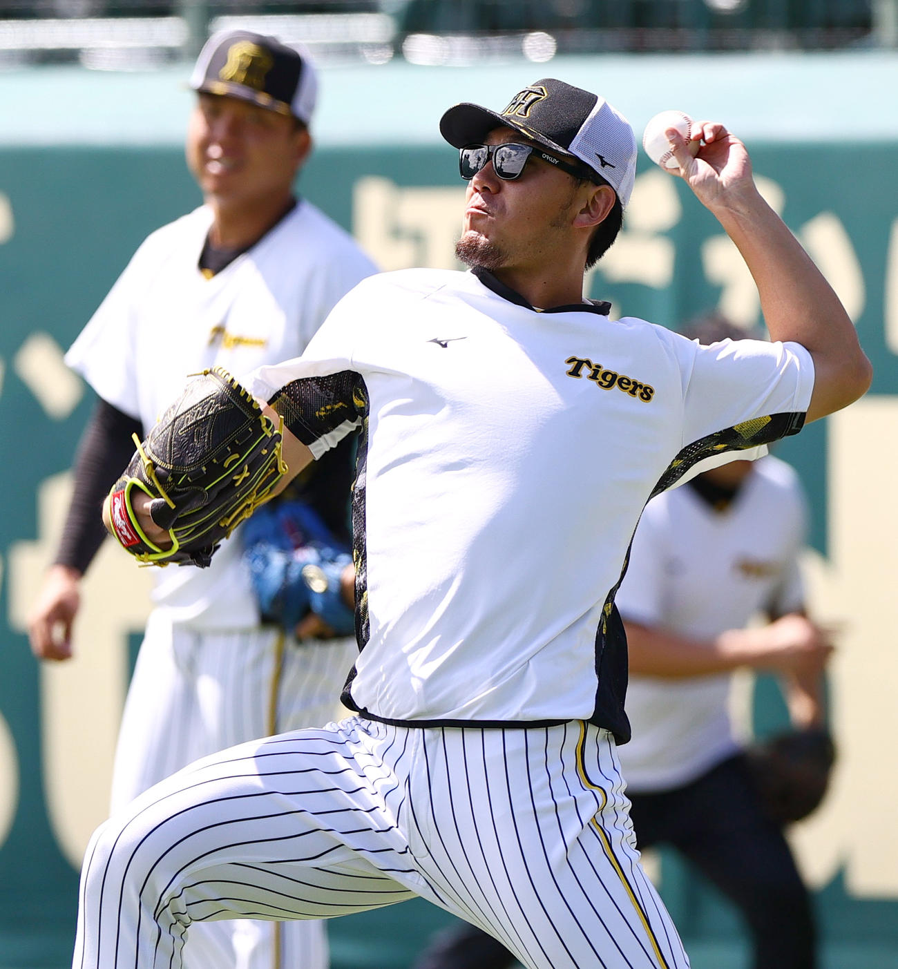 投手指名練習でキャッチボールする阪神伊藤将（撮影・上山淳一）