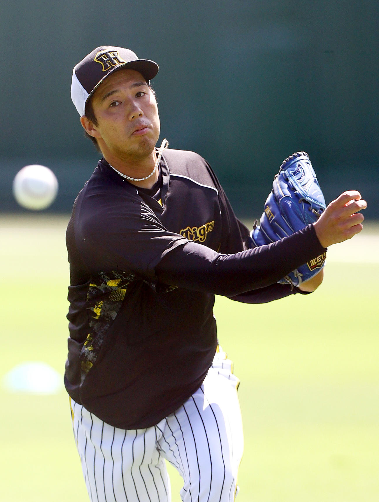 投手指名練習でキャッチボールする阪神青柳（撮影・上山淳一）