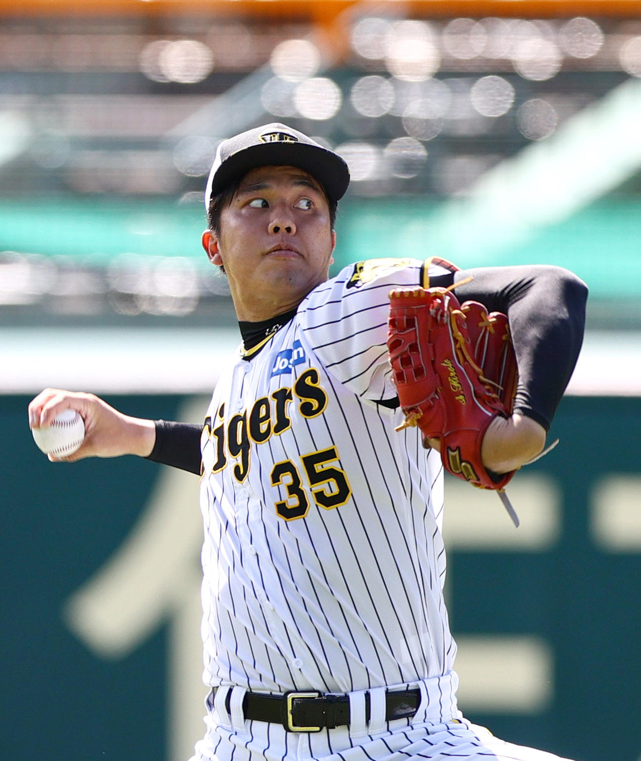 投手指名練習でキャッチボールする阪神才木（撮影・上山淳一）