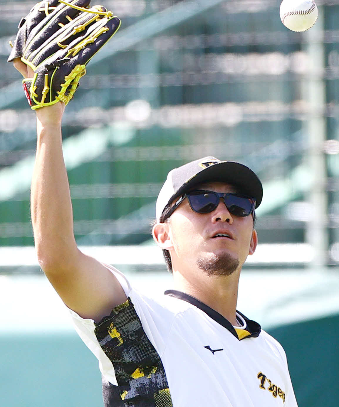 投手指名練習でキャッチボールする阪神伊藤将（撮影・上山淳一）