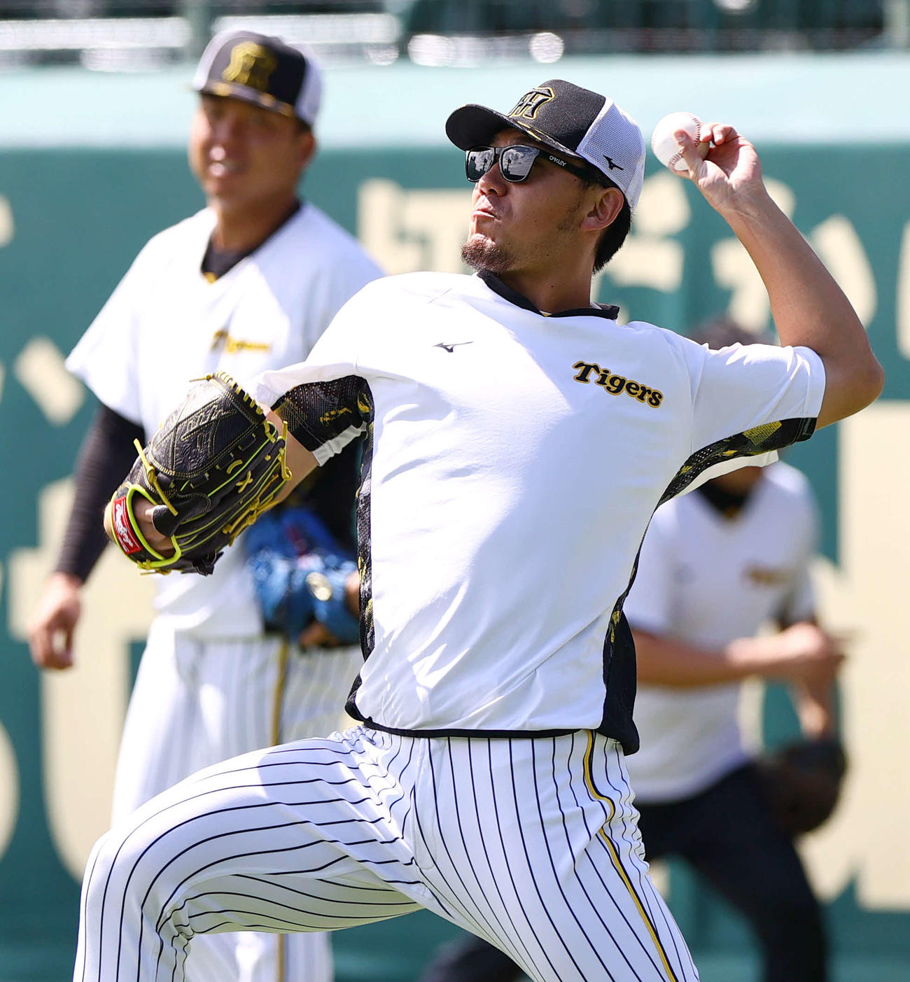 投手指名練習でキャッチボールする阪神伊藤将（撮影・上山淳一）