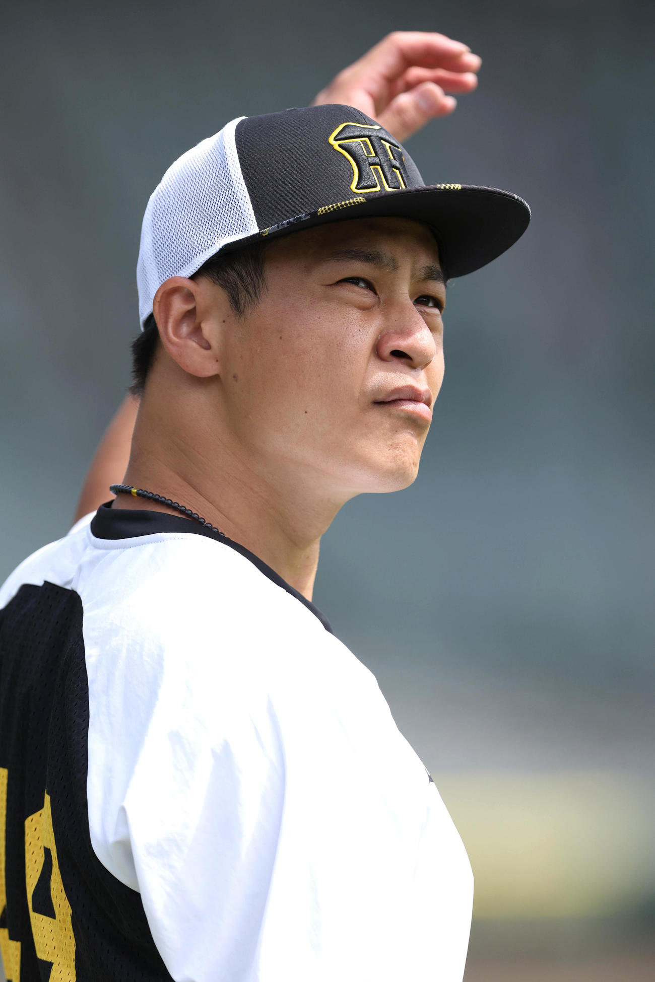 阪神大竹耕太郎（2023年9月4日撮影）