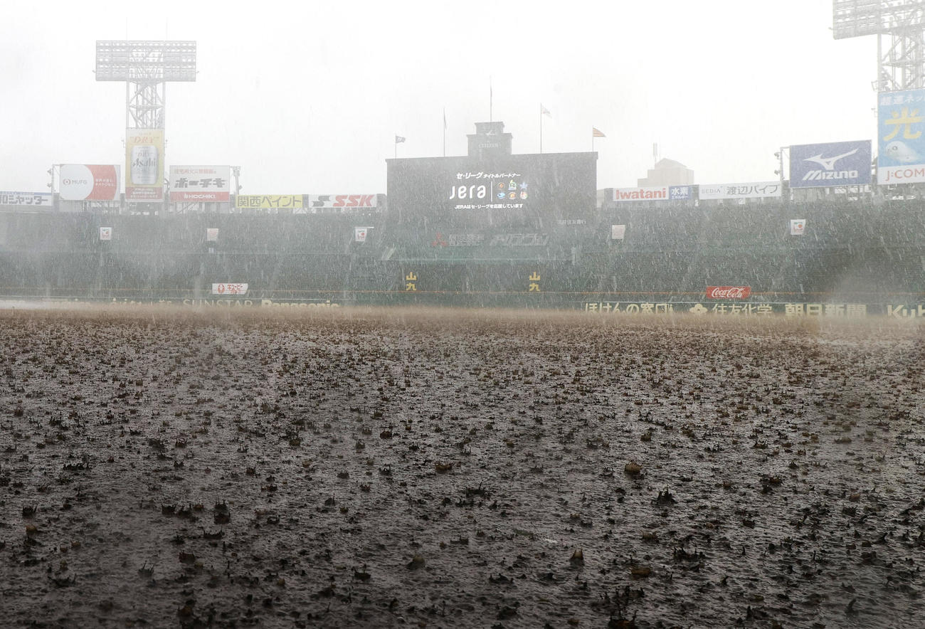 大雨に見舞われる甲子園球場（撮影・上山淳一）