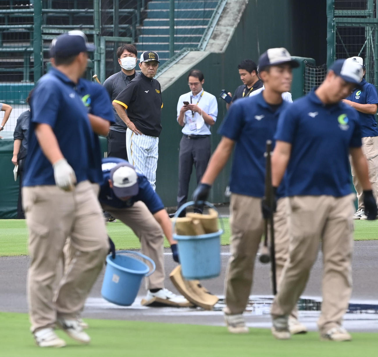 阪神対広島　阪神園芸のグラウンド整備を見る阪神岡田監督（撮影・前岡正明）